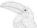 Adult coloring book,page a cute toucan on the brunch image for relaxing.Zen art style illustration