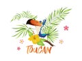 Cute toucan cartoon. Bird with tropical branch and leaves, colorful character sitting on palm tree, vector isolated Royalty Free Stock Photo