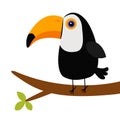 Cute toucan Toco on the tree brunch. Big yellow beak icon. Beautiful Exotic tropical bird. Zoo baby animal collection. Cartoon Royalty Free Stock Photo