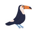 Cute toucan or tucan. Funny tropical bird with long yellow beak. Exotic animal character. Colorful flat cartoon vector