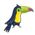 Cute toucan on white background.