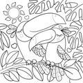 Cute toucans. Black and white linear drawing. Vector