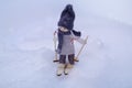 Cute toy girl on skis in the snow Royalty Free Stock Photo