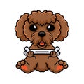 Cute toy poodle dog cartoon holding a bone Royalty Free Stock Photo