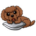 Cute toy poodle dog cartoon on the pillow Royalty Free Stock Photo