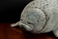 Cute toy seal lying on a wooden table Royalty Free Stock Photo