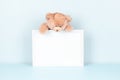 Cute toy teddy bear on white wooden picture frame with blank mock up copy space, light blue background. Front view Royalty Free Stock Photo