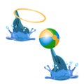 Cute trained dolphins playing with hoop and color ball vector