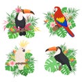 Cute tropical birds set with floral elements Royalty Free Stock Photo