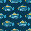 Cute tropical fish on dark background. Brightly-coloured ocean fish. Underwater marine wild life. Seamless pattern. Vector Royalty Free Stock Photo