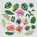 Cute tropical stickers and labels. Summer set of leaves and flowers. Vector illustration