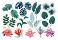 Cute tropical stickers and labels. Summer set of leaves and flowers Royalty Free Stock Photo