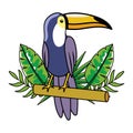 Cute tucano cartoon