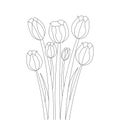 cute tulip coloring page pencil drawing flower petals black stroke line art design