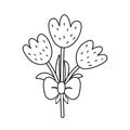 Cute tulips coloring page for adults and kids. Spring and summer black and white background