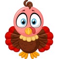 Cute turkey cartoon