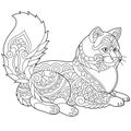 Turkish angora cat coloring page Royalty Free Stock Photo