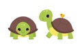 Cute turtle baby animals set. Front and side view of tortoise reptilian animal cartoon vector illustration Royalty Free Stock Photo