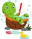 Cute turtle bathing