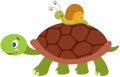 Cute turtle carrying a snail on carapace