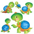 Cute turtle cartoon actions