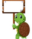 Cute turtle cartoon Royalty Free Stock Photo