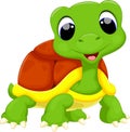 Cute turtle cartoon