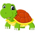 Cute turtle cartoon