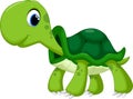 Cute turtle cartoon