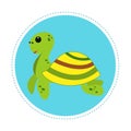 cute turtle Royalty Free Stock Photo