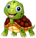 Cute turtle cartoon smiling