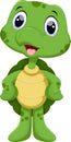 Cute turtle cartoon