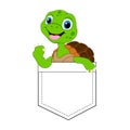 Cute turtle cartoon. T-shirt Graphic.Animal vector design. Royalty Free Stock Photo