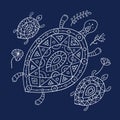 Cute Turtle family in ethnic ornament style. Tortoise with chidren. Floral decor background. Art isolated on blue