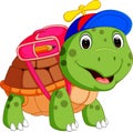 Cute turtle go to school