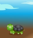 Cute turtle