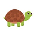 cute turtle icon Royalty Free Stock Photo