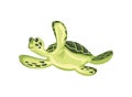 cute turtle icon design white backgroound Royalty Free Stock Photo