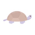 cute turtle icon Royalty Free Stock Photo