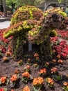 Cute turtle made from plants