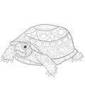 Adult coloring book,page a turtle with ornaments image for relaxing.Zen art style illustration for print