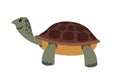 Cute turtle. Vector cartoon turtle pet vector illustration Royalty Free Stock Photo