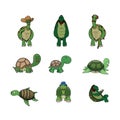 Turtles With A Lot Of Activities Color Illustration Design