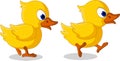 Cute two baby duck cartoon walking