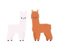 Cute two llamas on white background. Funny kawaii characters of alpaca Royalty Free Stock Photo