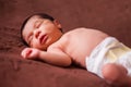 A cute two weeks old newborn baby girl Royalty Free Stock Photo