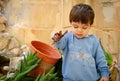 Cute two years old baby boy playing with dirth and plants Royalty Free Stock Photo