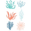 Cute underwater seaweed cartoon vector illustration motif set. Hand drawn isolated coral reef elements clipart for nautical