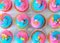 Cute Unicorn Cupcakes For Kids Birthday Party Royalty Free Stock Photo