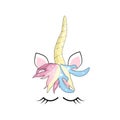 Cute unicorn face with pastel rainbow flowers isolated Royalty Free Stock Photo